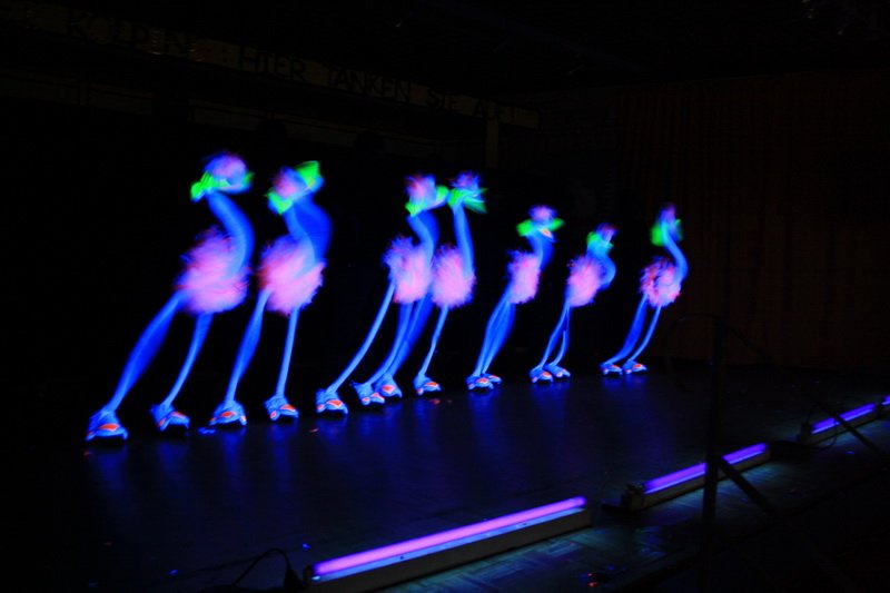 Bilder Sitzung 2012