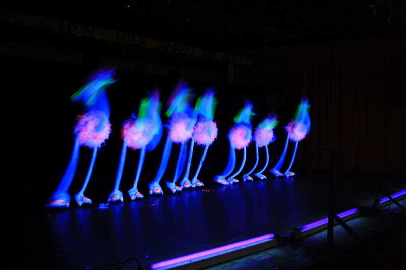 Bilder Sitzung 2012
