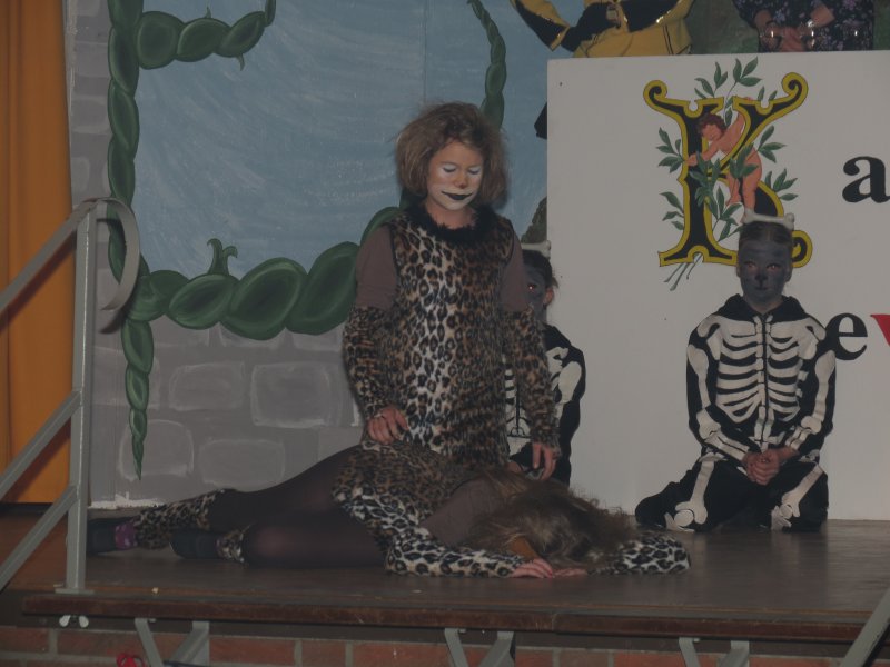 Bilder Sitzung 2013