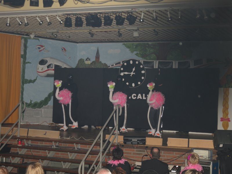 Bilder Sitzung 2013