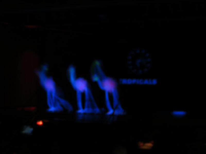 Bilder Sitzung 2013
