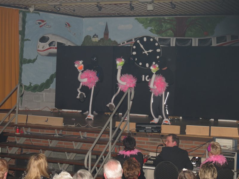 Bilder Sitzung 2013