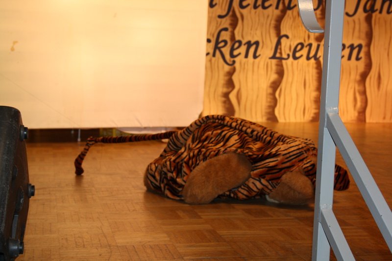Bilder Sitzung 2019